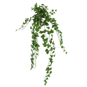 Vigne suspendue en lierre miniature multicolore <span class=keywords><strong>de</strong></span> 110 cm <span class=keywords><strong>de</strong></span> long, <span class=keywords><strong>brin</strong></span> décoratif avec des feuilles colorées pour une décoration murale délicate - Product Image 2