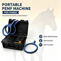 Système de boucle PEMF équin, système PEMF pour chevaux, bien-être sportif équin PEMF avec étui de protection rigide