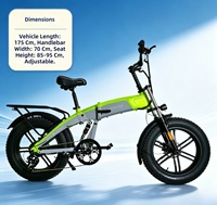 Vélo à neige électrique haute puissance Arrow Wolf 20 pouces, double moteur, cadre en alliage d'aluminium, 7 vitesses, jusqu'à 25 km/h, 48V, 50-60 Nm de couple