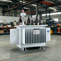 Transformador de Distribución Sumergido en Aceite, Clase F, Aislamiento S13-M (F), Alta Sobrecarga, Totalmente Sellado, 100kVA 10kV