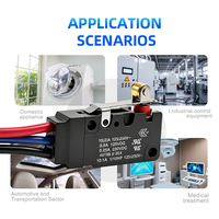 Micro-interrupteur étanche WZ100A05-W2 avec fil, étanchéité IP67, divers styles disponibles, fabriqué en usine, rouleau en laiton, courant élevé 10A