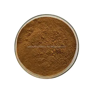 Hot Selling 10:1 Concentrated Citrus Bergamot Extract Powder Solvent Extracted Herbal