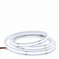 Bande LED flexible 24V double blanc CCT réglable 608 LED/m 10mm pour éclairage décoratif commercial et résidentiel