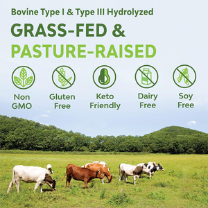 ผงคอลลาเจนเปปไทด์โปรตีนสูง ปราศจากน้ำตาล ช่วยบำรุงสุขภาพลำไส้ ลดเลือนริ้วรอย ผิวขาวกระจ่างใส เหมาะสำหรับผู้ที่ทานคีโต (OEM/ODM) - Product Image 5