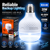 Wiederaufladbare LED-Glühbirnen für den Innenbereich, 20W Notfall-Campinglampe, AC85V-265V, IP54 wasserdicht, staubdicht, 6500K, energiesparende Glühbirnen