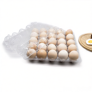Hộp trứng nhựa cỡ lớn 25 lỗ có nắp đáy có thể tháo rời - Product Image 2
