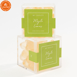 Small Plastic Storage Box with Lid Transparent Clear Square Containers Display Boxes Gift Box with Glitter Ribbon for Candy
