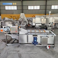 Industriële automatische motor aangedreven belletjeswasmachine voor het reinigen van fruit en groenten, capaciteit 600-1000 kg/uur, voor voedselverwerking