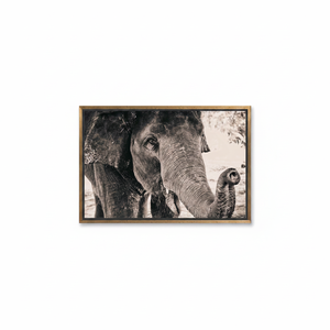 Elephant Tempered Glass Wall Art: Animal <b>Canvas</b> Print,GOLD <b>FRAMED</b> <b>CANVAS</b> - Product Image 2