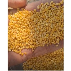 Haricots Moong Dal biologiques séchés transformés par procédé AD, très demandés, conditionnés en vrac (sacs PP/Jute de 25/50 kg), durée de conservation de 12 à 18 mois, vente en gros et au détail - Product Image 1