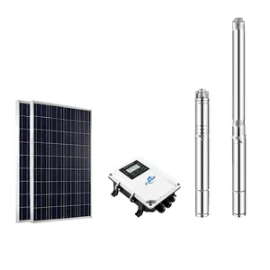 250W DC Solar Water Pump System Model 2PWSS1.2-60-24-250 Used For Irrigation