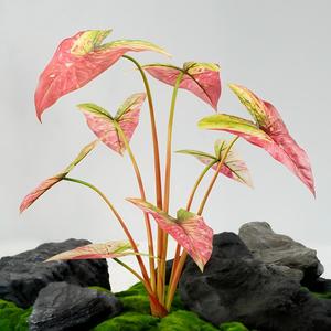 ก้านใบไม้ประดิษฐ์ 8 ใบ ใบไม้หลากสีทรงหัวลูกศร พร้อมแจกัน ตกแต่งบ้านและสำนักงานได้เลย - Product Image 1