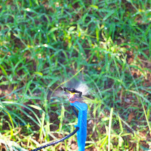 3600 fai da te Micro Spray giardino irrigazione a goccia irrigatore Kit di irrigazione sistema di nebulizzazione - Product Image 4