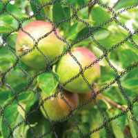 Filets de chasse anti-oiseaux agriculture anti-oiseaux filet invisible pour oiseaux