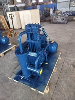 Compresseur vertical GPL propane ammoniac Compresseur GPL Corken 891 Compresseur de gaz