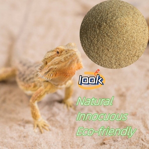 Lagarto escalado <span class=keywords><strong>arena</strong></span> Mantenga una mascota <span class=keywords><strong>Palacio</strong></span> <span class=keywords><strong>arena</strong></span> natural Color paisaje <span class=keywords><strong>de</strong></span> <span class=keywords><strong>arena</strong></span> - Product Image 2