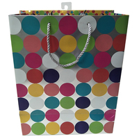 Sac cadeau en papier argenté, sac en papier avec logo imprimé personnalisé, ruban PP, poignée de cordon