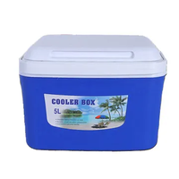 Glacière Isotherme Portable pour Camping et Pique-nique, pour Bouteilles de Bière et Aliments, en Plastique Rotomoulé PE, Motif Dessin Animé