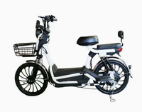 Vélo Électrique Free Wind 48V avec Batterie Plomb-acide, Moteur Arrière, Autonomie 55-65km, E-Bike Transfrontalier, Fourniture Directe Usine 60km