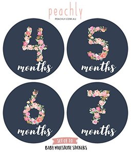 Usine Fournir Directement Floral Bébé Mensuel Jalon Autocollants (<span class=keywords><strong>Lot</strong></span> de 20) -de la <span class=keywords><strong>naissance</strong></span> à 12 Mois - Product Image 5