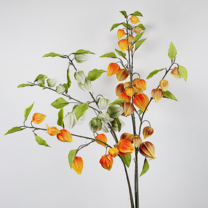 Bất động cảm ứng PU Physalis trang trí nội thất mùa thu nhân tạo CAPE Gooseberry thân cây cho nhà dàn dựng đám cưới trung tâm ảnh đạo cụ - Product Image 2