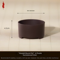 Pot de fleurs en résine moderne pour rebord de fenêtre, petit pot de paysage pour plantes succulentes et plantes à tronc ancien, design épuré