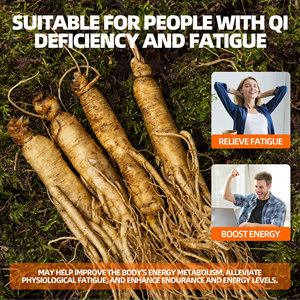 Gummies Jiaoming Ginseng Maca, extraits concentrés d'herbes pour soulager la <span class=keywords><strong>fatigue</strong></span> et soutenir l'énergie physique - Product Image 3