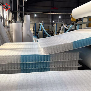 Top giá rẻ giá nhà máy sofa đệm Túi mùa xuân bên trong mùa xuân cho sofa - Product Image 4