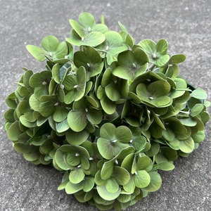 Hortensia vert doux fausses fleurs de mariage faites à la main hortensia unique & Bundle pour les occasions Pâques fête des mères nouvel an chinois - Product Image 3