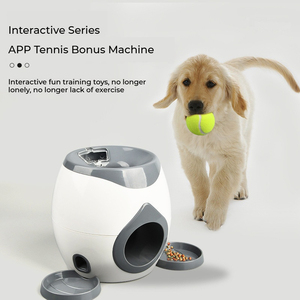 2025 nuovo cane elettrico interattivo Trainer Mini automatico lanciatore di palline da Tennis Pet alimentatore con imballaggio in cartone