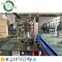 Machine de remplissage de canettes en plastique PET de A à Z SUS304, linéaire isobare rotatif à 12 têtes, eau gazeuse, boisson moussante, vin 200ml
