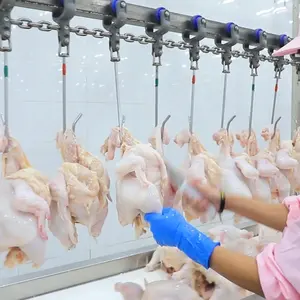 Linha de preço do equipamento de processo de abate de aves de aves de Qingdao Raniche