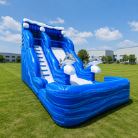 Toboggan aquatique gonflable géant avec piscine, structure de jeux gonflable en PVC commercial, combo gonflable extérieur personnalisé pour enfants et adultes