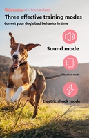 Intelligentes Trainingshalsband für Haustiere mit Fernbedienung, Anti-Bell-Funktion, Wasserdicht, Haustierfreundlich, Hundetrainingsprodukte im Großhandel