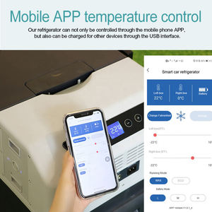 Congélateurs de <span class=keywords><strong>camping</strong></span> pour réfrigérateur de coffre Tesla modèle 3 modèle S modèle <span class=keywords><strong>X</strong></span> 12v accessoire de voiture Tesla réfrigérateur de refroidissement de congélateur de voiture - Product Image 6
