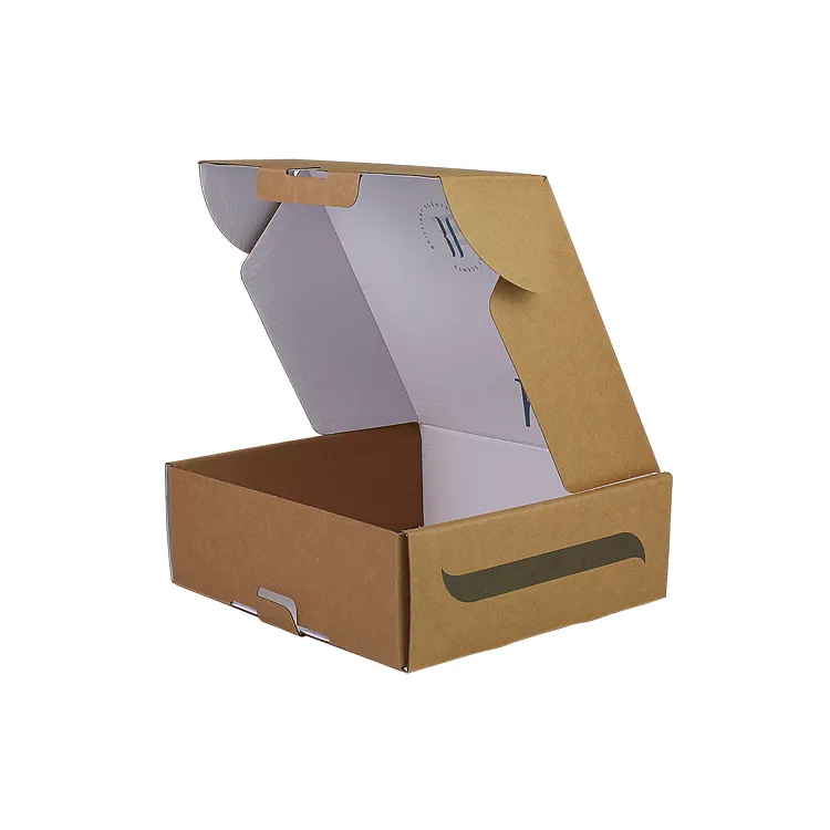 Custom Printing Foldable Corrugated Packaging Carton Airplane/Shipping/Mailing/Mail Box for Cosmetics/Skin Care/Chocolate/Gifts