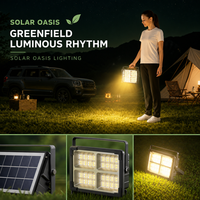 Projecteur LED solaire IP65 en ABS avec panneau solaire intégré 6V 2W, lampe de travail rechargeable pour jardin, patio, cour, grange