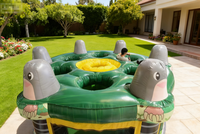 Château gonflable commercial en PVC avec souffleur, installation facile et garantie d'un an pour jeux intérieurs/extérieurs