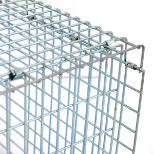 Petit piège à <span class=keywords><strong>cage</strong></span> pour animaux en métal pliable Humane <span class=keywords><strong>Live</strong></span> Rabbit Squirrel Opossum Squire Raccoon Catch Release Design pliable - Product Image 2