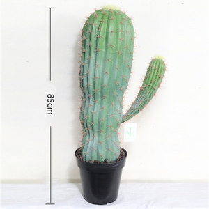 I186 <span class=keywords><strong>Cactus</strong></span> <span class=keywords><strong>Sans</strong></span> Pot Noir Nordique Plante Verte Artificielle Intérieur Salon Fenêtre Décoration - Product Image 6