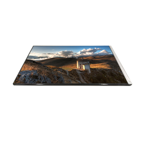G101UAN02.0 Panel LCD de Alta Calidad de 10.1 Pulgadas, Pantalla LCD TFT de 1920*1200 - Product Image 1