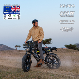 Bicicleta Eléctrica KOOLUX X9 PRO, Disponible en <span class=keywords><strong>Lituania</strong></span>, 48V 31.2Ah, Batería Doble, Motor sin Escobillas de 250W, Freno de Disco Hidráulico, CE EN15194 - Product Image 1