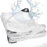 Bâche en PVC transparent ESHINE ESPVC450 pour jardin et extérieur, imperméable, style tissé, service de découpe/moulage