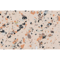 Peinture à effet pierre naturelle Jady, peinture à effet marbre, peinture à effet granit pour mur extérieur