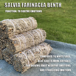 CELION Vente en gros 4 pouces de bâton de tache de sauge bleue organique Salvia <span class=keywords><strong>Azurea</strong></span> pour les taches - Product Image 6