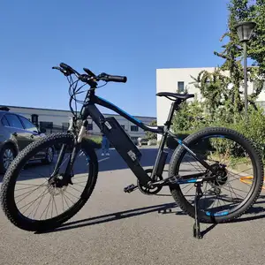 Großhandels preis Elektrisches Mountainbike Heckantrieb motor 250 W36V Elektrisches Damen fahrrad