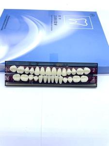 Dents en résine acrylique dentaire multicouche OEM pour prothèses dentaires Dents en acrylique en résine synthétique Prothèse dentaire - Product Image 5