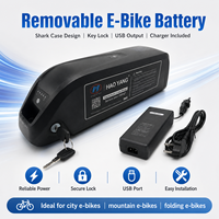 Batterie pour vélo électrique à pneus larges, boîtier Hailong Shark, batterie au lithium, verrouillage sécurisé, sortie USB