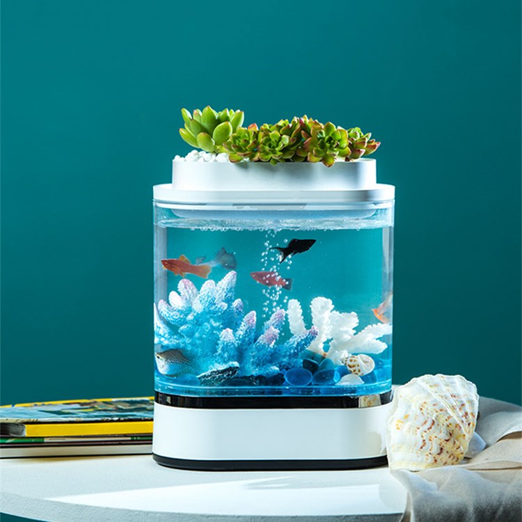 淡水水槽フルセット小型PPベタ水槽アクアポニックス付き| Alibaba.com