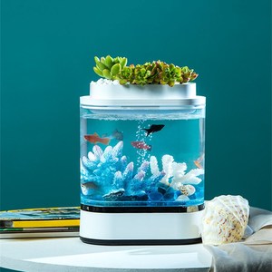민물 수족관 어항 풀 세트 아쿠아 포닉스가있는 소형 PP 베타 탱크 - Product Image 3